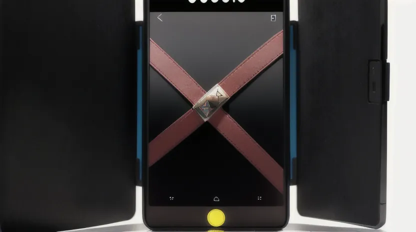 限定品を賢く手に入れるための注意点